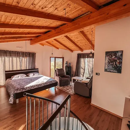 Olive Garden Family With Private Pool Appartement Sežana